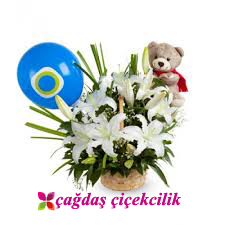 Mis Kokulu Lilyum ve Ayıcık